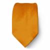 Bronze Boys Solid Tie Ties