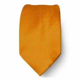 Bronze Boys Solid Tie Ties