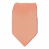 Boys Solid Tie Ties