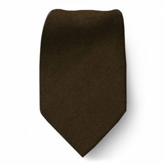 Brown Boys Solid Tie Ties