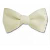 Cream Solid Bow Tie 