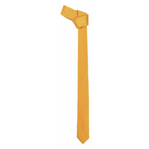 2 inch Skinny Tie Narrow