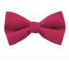 Velvet Pre Tied Bow Tie 