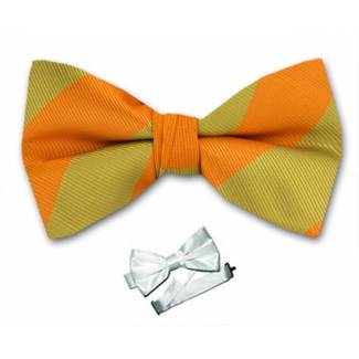 Pre Tied Striped Bow Tie 