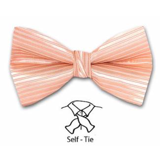 Bow Tie 