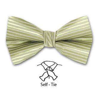 Bow Tie 