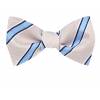 Self Tie Bow Tie Blue Self Tie