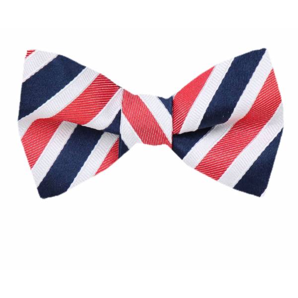 Self Tie Bow Tie Blue Self Tie