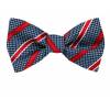 Silk Self Tie Bow Tie Bow Ties - Self Tie