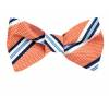 Silk Self Tie Bow Tie Bow Ties - Self Tie