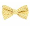 Silk Self Tie Bow Tie Bow Ties - Self Tie