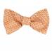 Silk Self Tie Bow Tie Bow Ties - Self Tie