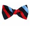 Silk Self Tie Bow Tie Bow Ties - Self Tie