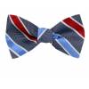 Silk Self Tie Bow Tie Bow Ties - Self Tie