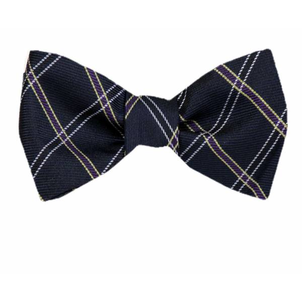 Silk Self Tie Bow Tie Bow Ties - Self Tie