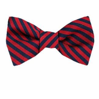 Silk Self Tie Bow Tie Bow Ties - Self Tie