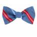 Silk Self Tie Bow Tie Bow Ties - Self Tie