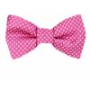 Silk Self Tie Bow Tie Bow Ties - Self Tie