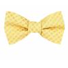 Silk Self Tie Bow Tie Bow Ties - Self Tie