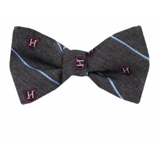 Silk Self Tie Bow Tie Bow Ties - Self Tie