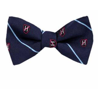 Silk Self Tie Bow Tie Bow Ties - Self Tie