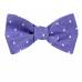 Silk Self Tie Bow Tie Bow Ties - Self Tie