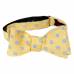 Self Tie Aficionado Bow Tie Bow Ties - Self Tie