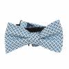 Pre Tied Aficionado Bow Tie Pre Tied