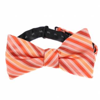 Pre Tied Aficionado Bow Tie Pre Tied