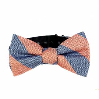 Pre Tied Aficionado Bow Tie Pre Tied