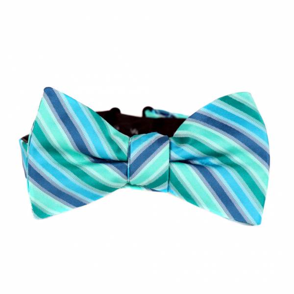 Pre Tied Aficionado Bow Tie Pre Tied