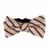 Pre Tied Aficionado Bow Tie Pre Tied