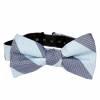 Pre Tied Aficionado Bow Tie Pre Tied