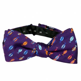 Pre Tied Aficionado Bow Tie Pre Tied