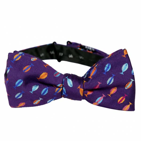 Pre Tied Aficionado Bow Tie Pre Tied