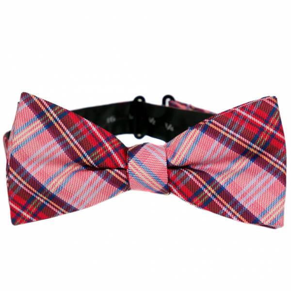 Pre Tied Aficionado Bow Tie Pre Tied