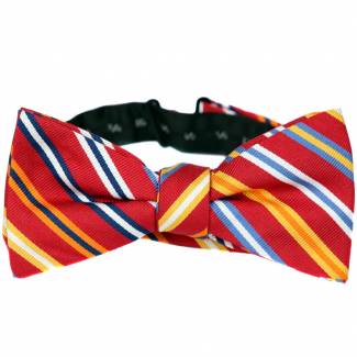 Pre Tied Aficionado Bow Tie Pre Tied