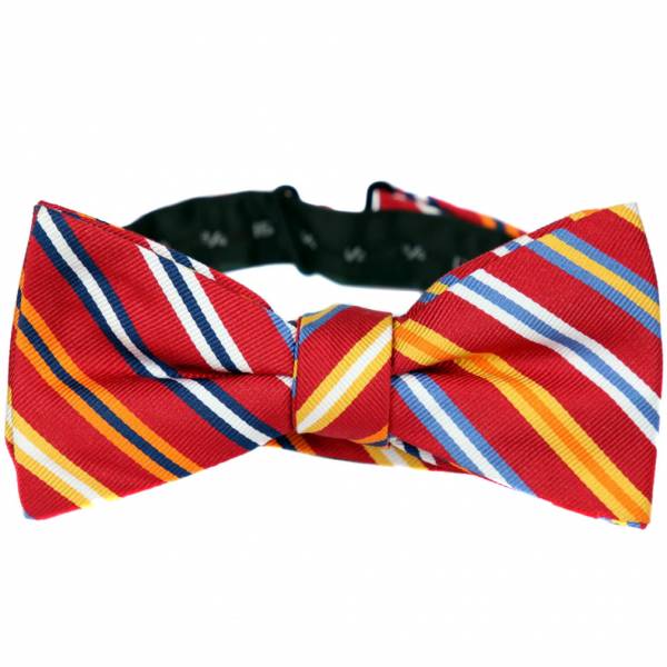 Pre Tied Aficionado Bow Tie Pre Tied