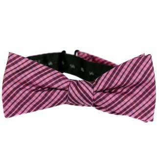 Pre Tied Aficionado Bow Tie Pre Tied