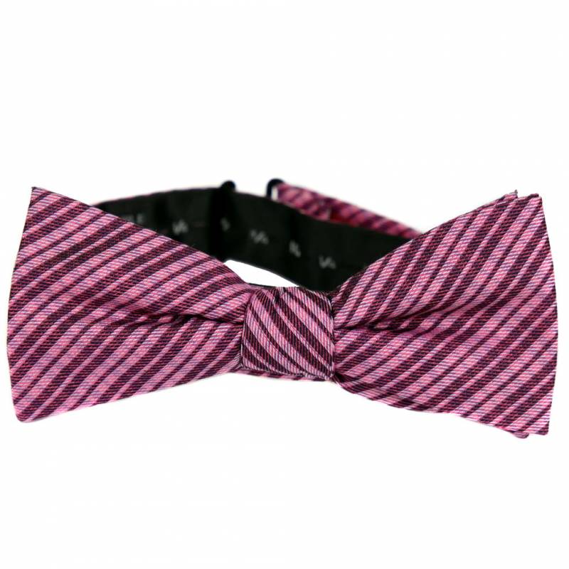 Pre Tied Aficionado Bow Tie