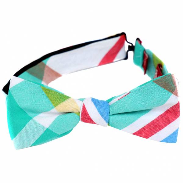 Pre Tied Aficionado Bow Tie Pre Tied