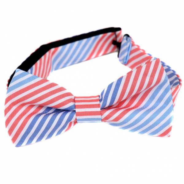 Pre Tied Aficionado Bow Tie Pre Tied