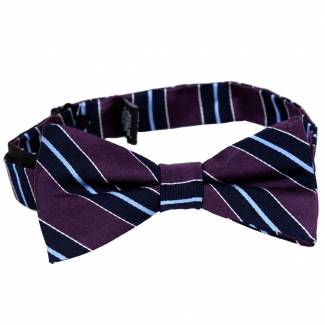 Pre Tied Aficionado Bow Tie Bow Ties - Pre Tied