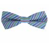 Slim Bow Tie 