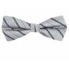 Calvin Klein Pre Tied Bow Tie 