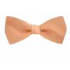 Boys Bow Tie 