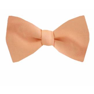 Self Tie Bow Tie 