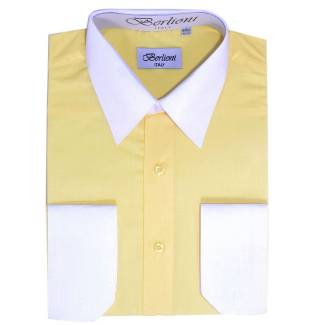 Two Tone Dress Shirt 