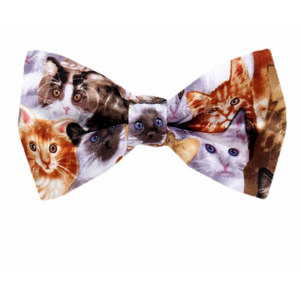 Mixed Cats Pre Tied Novelty