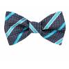 Silk Self Tie Bow Tie Bow Ties - Self Tie